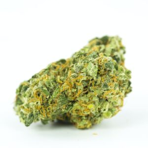 Gorilla Glue Flower Strain - A Potent Hybrid Cannabis Experience