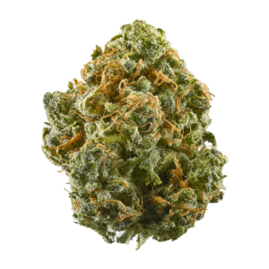 Blue Dream cannabis buds, known for its balanced effects and sweet berry aroma.