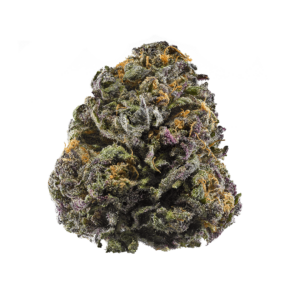 Close-up of resin-coated Granddaddy Purple indica weed strain buds with purple hues.
