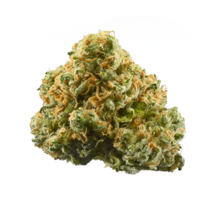 Hyrid Weed Strain Pineapple Express buds, showcasing its glistening trichomes and rich orange pistils.